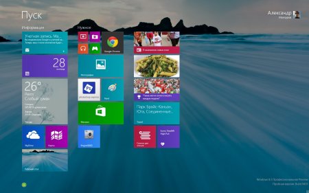 Windows 8.1 Develop Preview 1